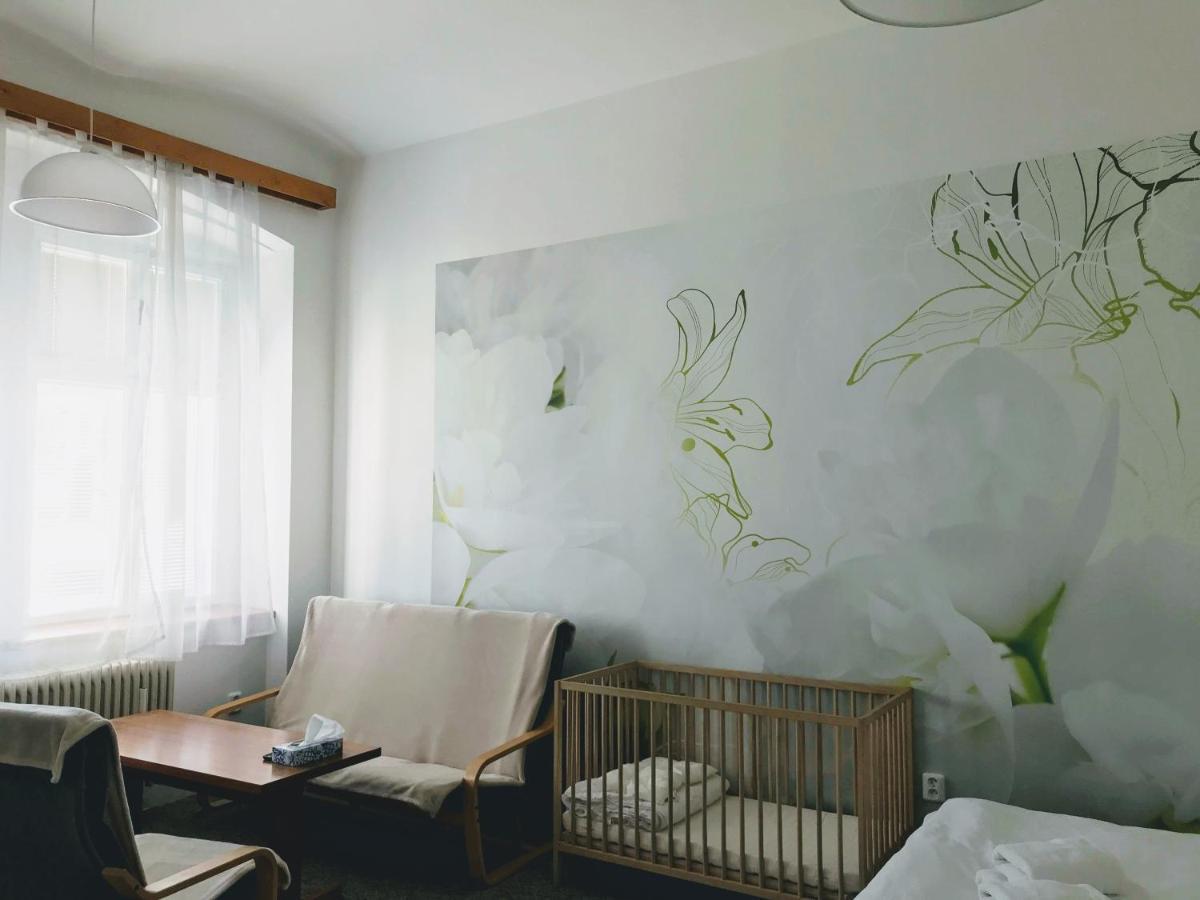 Opočno Apartman Na Namesti 아파트 외부 사진